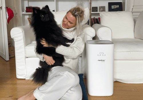 Custom Air Filters for Clean Homes With Pets & Allergies